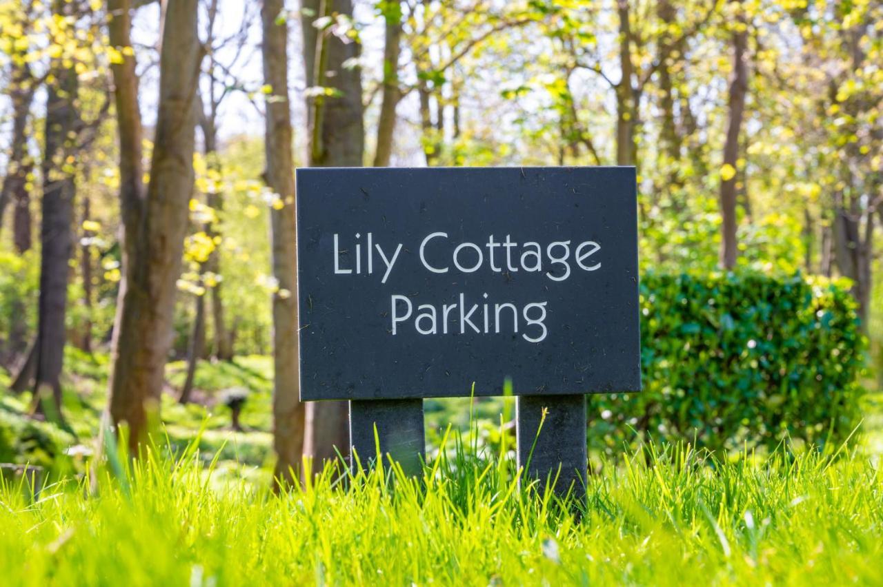 Lily Cottage By Big Skies Cottages 小沃尔辛厄姆 外观 照片